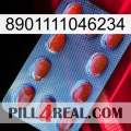 8901111046234 06